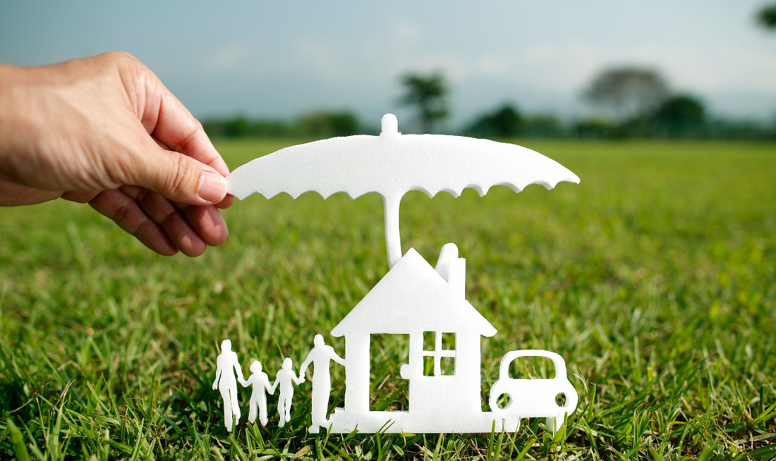 Climate-resilient Property Insurance