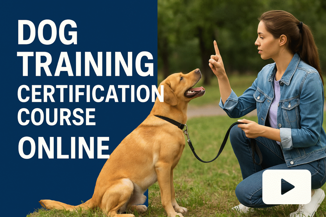 dog training certification course online